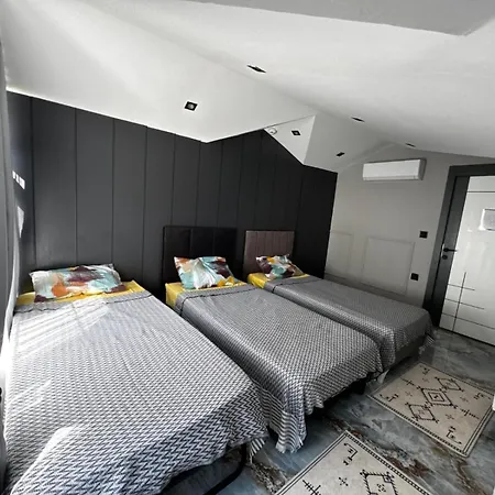 Aile וילה Eskiomerler